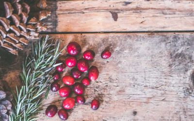 Fast Casual: “7 reasons to augment your menu for the holidays”