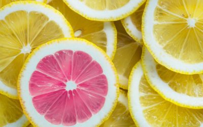 Foodable: “Beyond The Trend: How to Differentiate your Spring Menu Offerings in 2019”